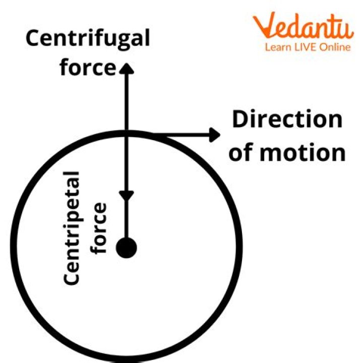 Centripetal and Centrifugal: Understanding the Forces That Shape Motion