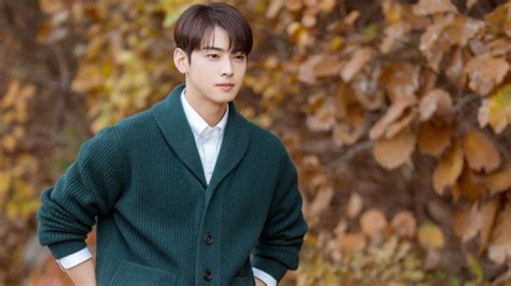 Cha Eun-Woo TV Shows: Exploring the Star's Dazzling Career in Entertainment