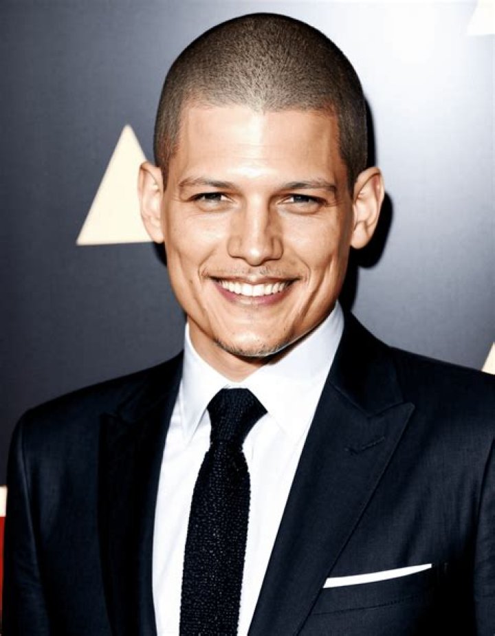 Discovering the Fascinating World of Wentworth Miller's Partners