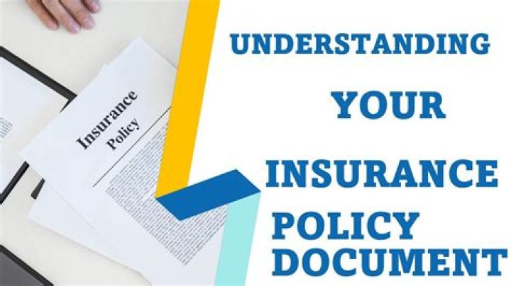 Harvypector: The Ultimate Guide to Understanding Its Impact and Potential