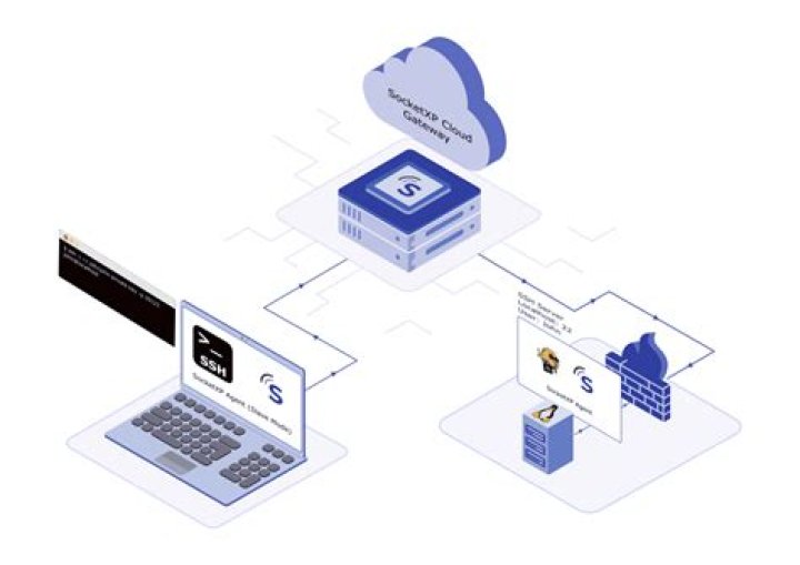 How to Set Up Remote IoT Web SSH Access and Download Ubuntu