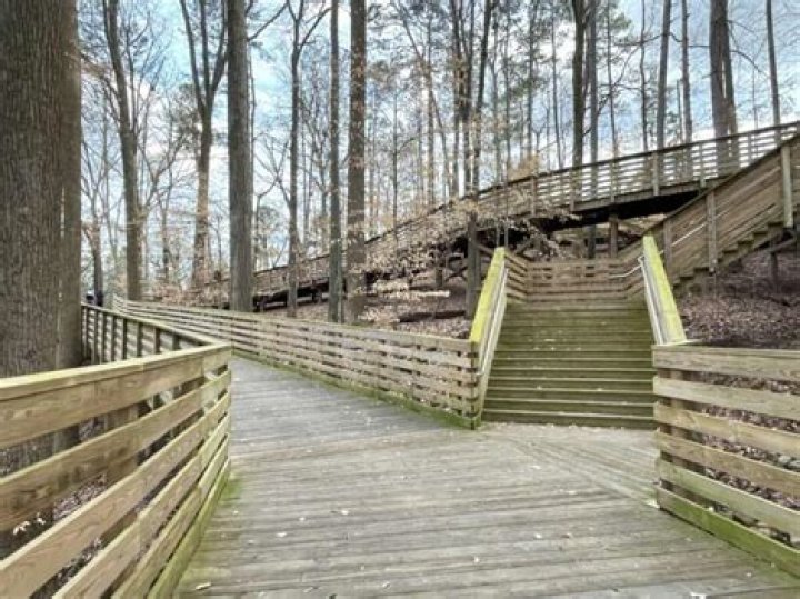 Mason Mill Park: A Hidden Gem in Atlanta's Urban Jungle