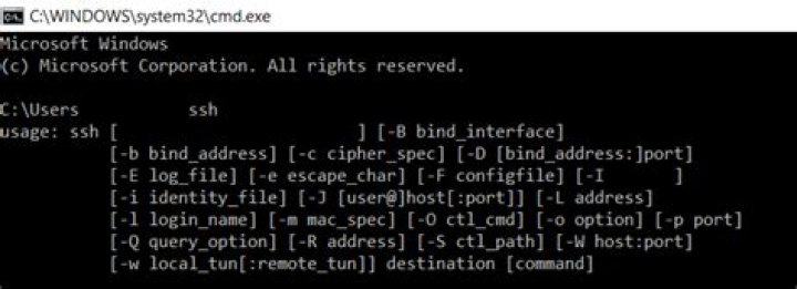 Mastering RemoteIoT VPC SSH on Windows 10 Without Third-Party Tools