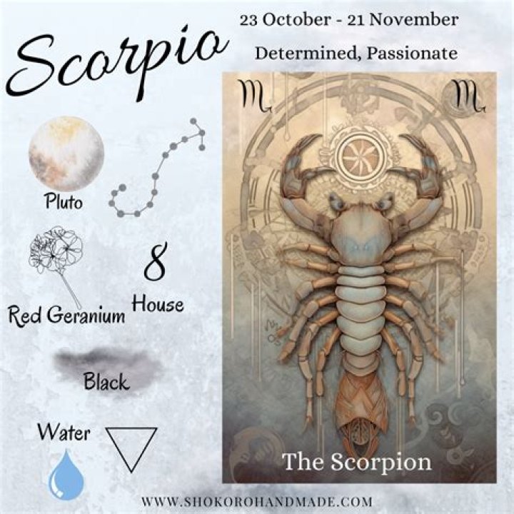 November 30 Zodiac Sign: Understanding the Traits and Characteristics of Scorpio