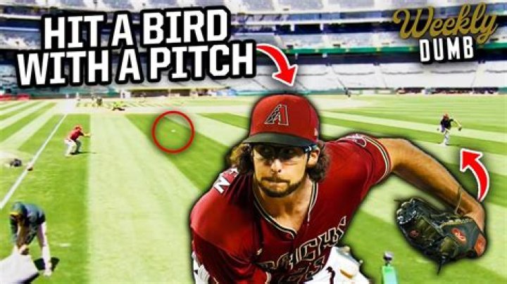Pitcher Hits Bird: An In-depth Analysis of an Uncommon Baseball Phenomenon