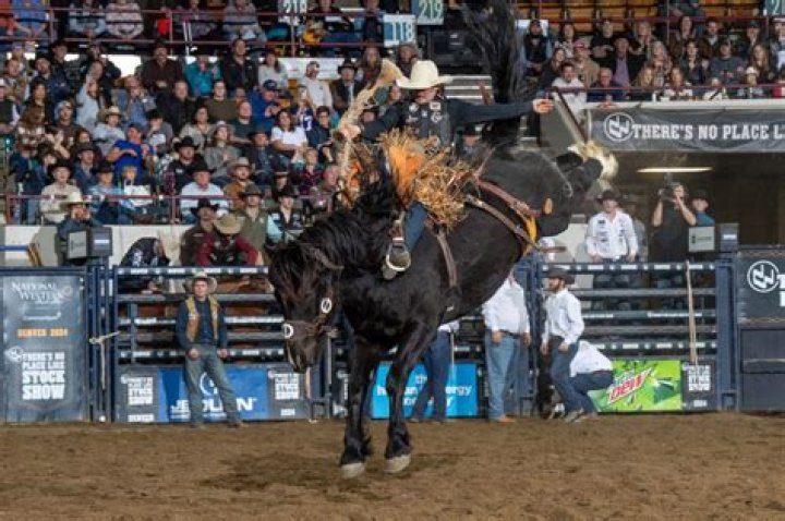 Professional Bull Riders Earnings: Unveiling the Thrilling World of Bull Riding Finance