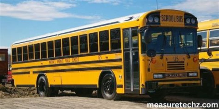 School Bus Length: Understanding the Dimensions and Importance
