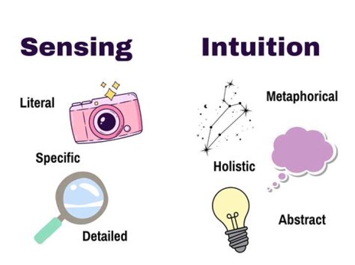 Sensation: Understanding the Thrill, Impact, and Science Behind It
