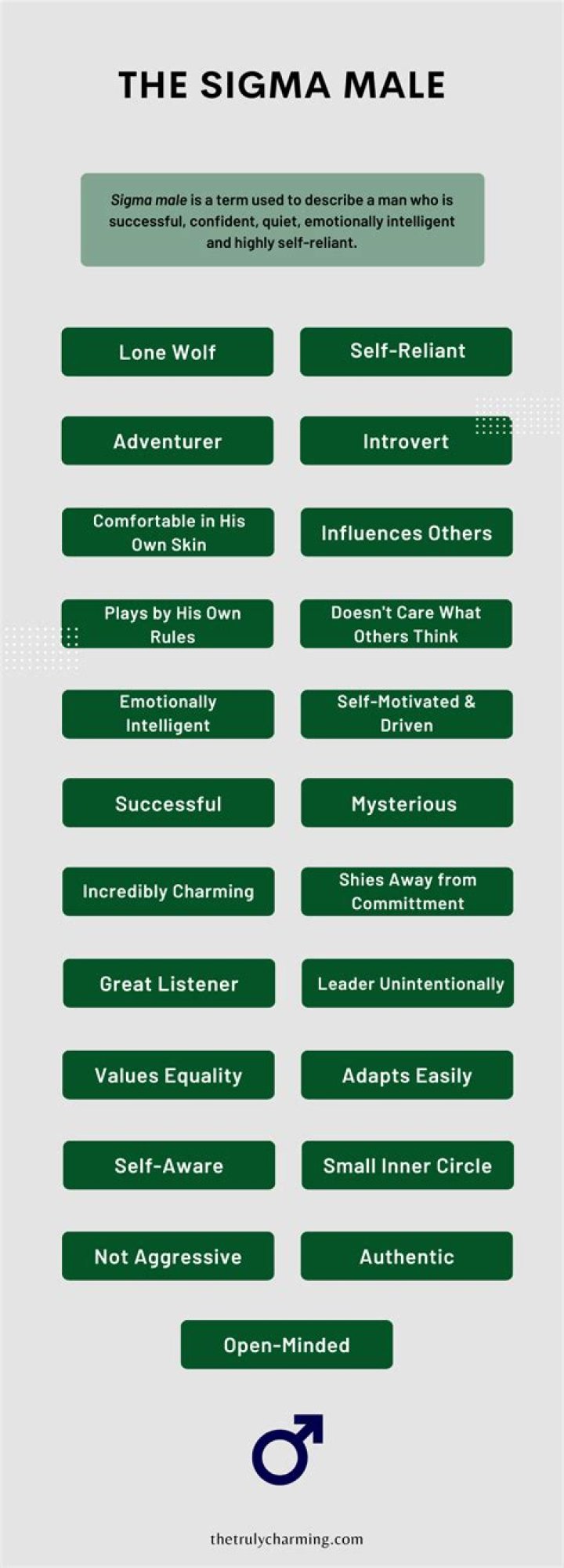 Sigma Male Definition: Understanding the Enigmatic Personality Type