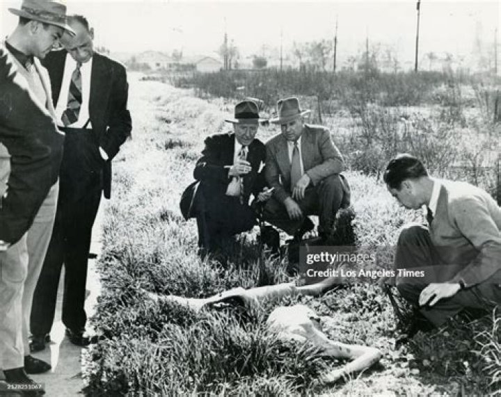 Unveiling the Black Dahlia Crime Scene Photos: A Deep Dive into One of America's Most Infamous Murders